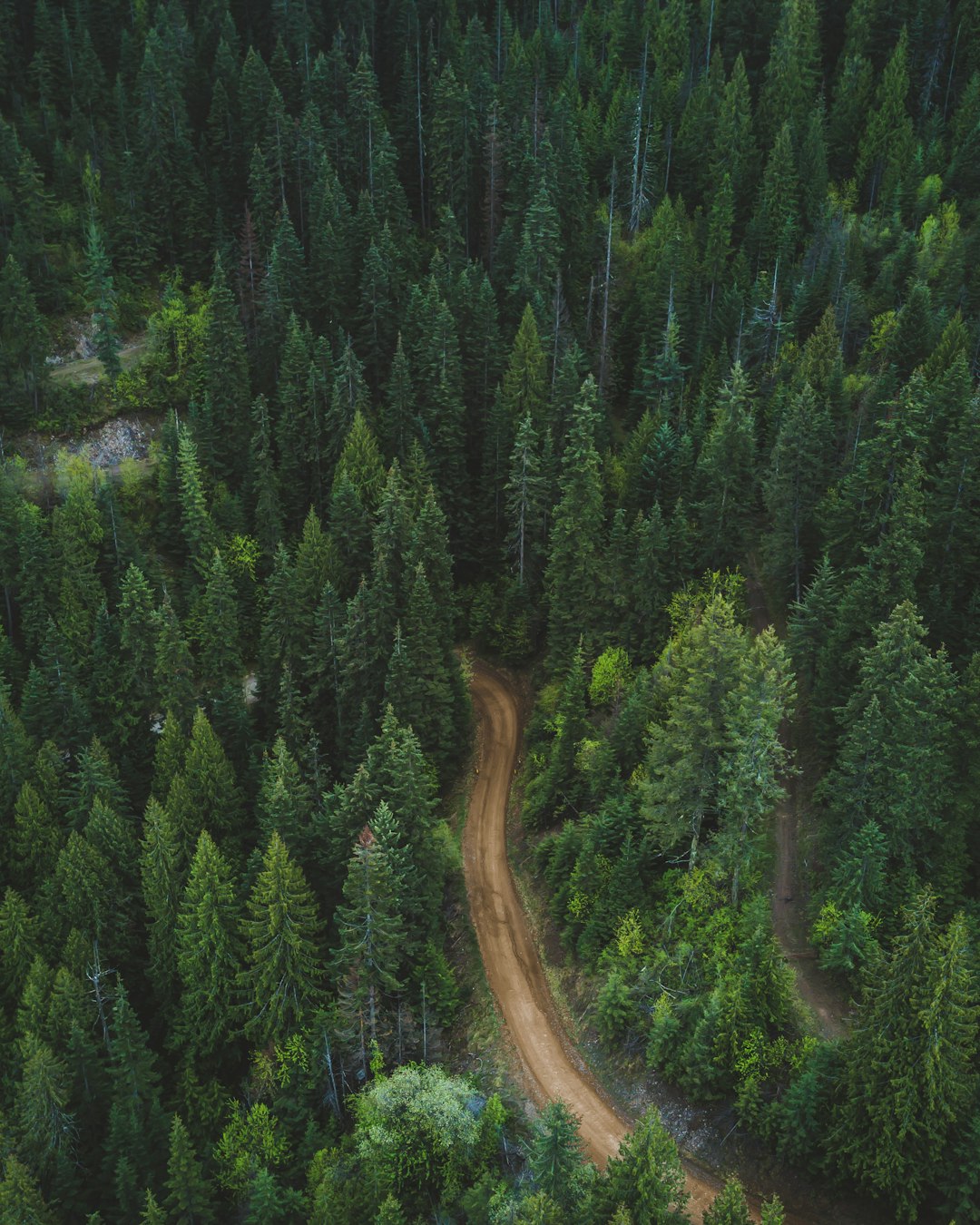 PNW Forest Aerial