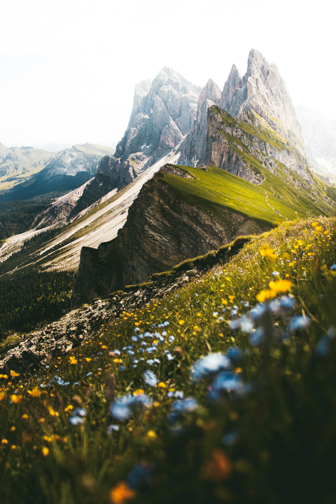 Seceda mountains in Italy. 
